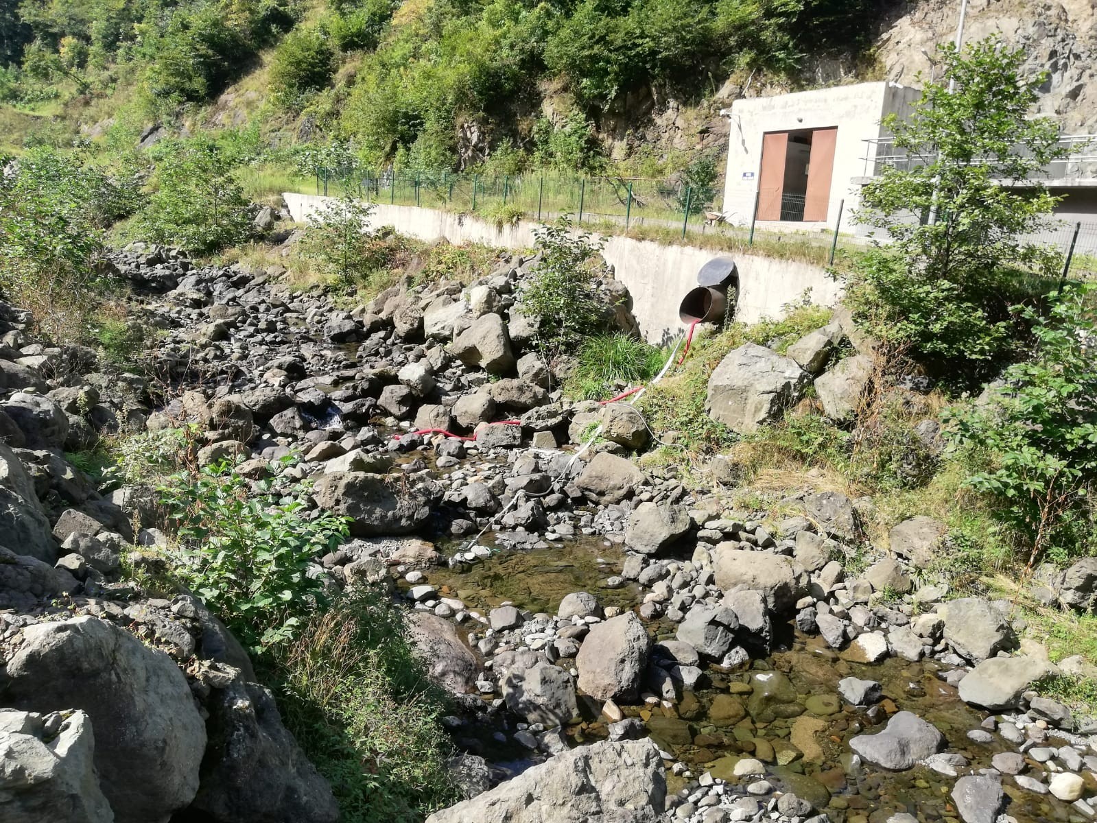 Peyzaj Mimarlar Odası Trabzon Şube Başkanı Engin Aktaş: - “Dünyada tüm gelişmiş ülkeler su tüketimini azaltmakla ilgili tedbirler