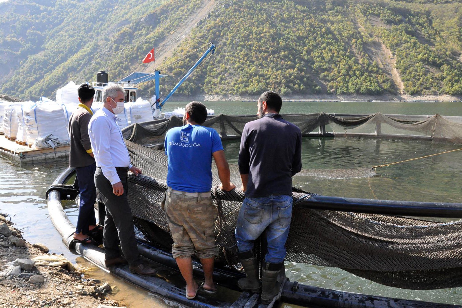 Gümüşhane’de alabalık ve somon hasadı başladı 