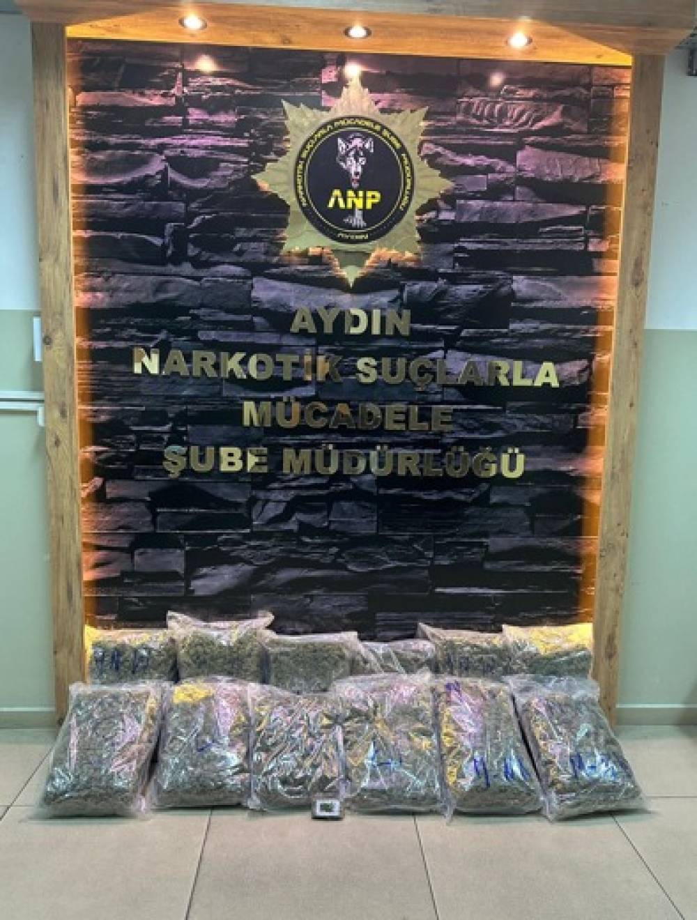 Kuşadası'nda, otomobilde 13 kilogram skunk yakalandı