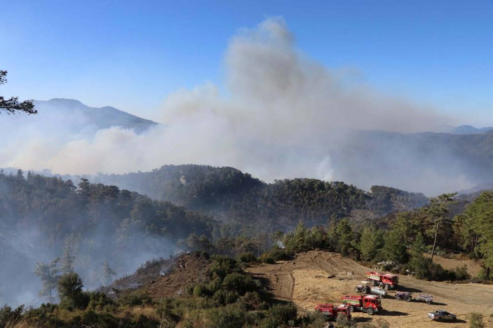 Muğla'nın 2 ilçesinde orman yangınlarına müdahale sürüyor