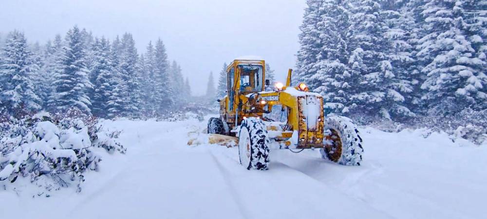 Ordu’da karda mahsur kalan 4 kişi için kurtarma çalışması başlatıldı