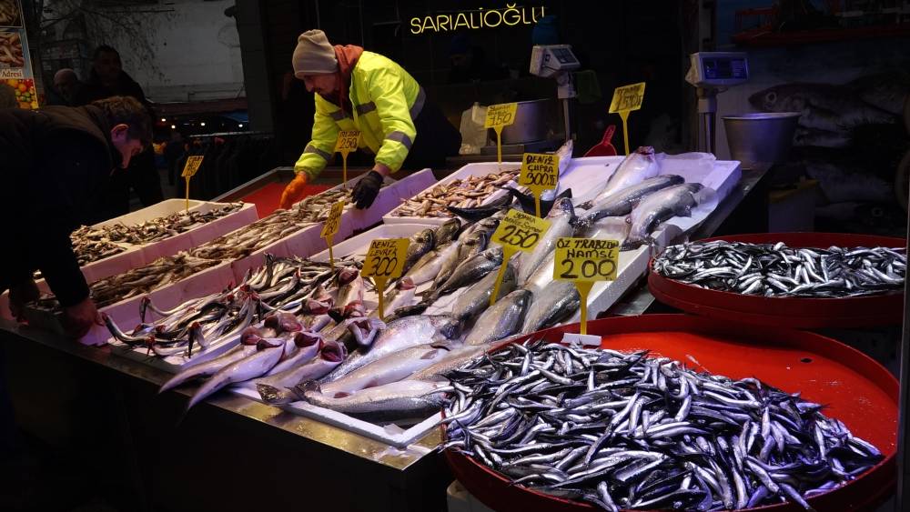 Trabzon'da hamsi göçüyor, palamut bereketi sürüyor 