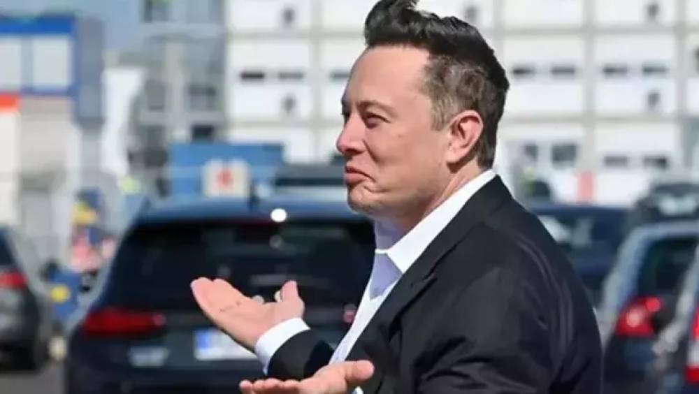 Almanya'dan Musk'a 'AfD' eleştirisi