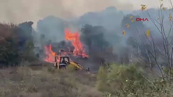 Çanakkale’de orman yangını