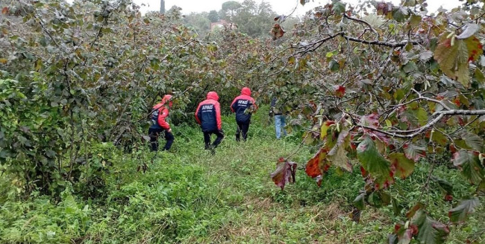 Hurma toplamaya gitmişti; cansız bedeni bulundu