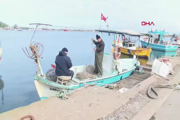 Karadeniz’de hamsi bitebilir: Yem olarak değil, insan gıdası olarak tüketilmeli