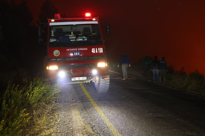 Muğla'daki orman yangınını söndürme çalışmaları sürüyor