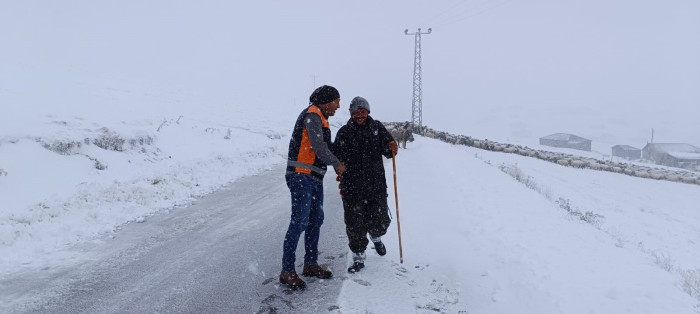 TRABZON - Yaylada kardan mahsur kalan çoban ve sürüsü kurtarıldı