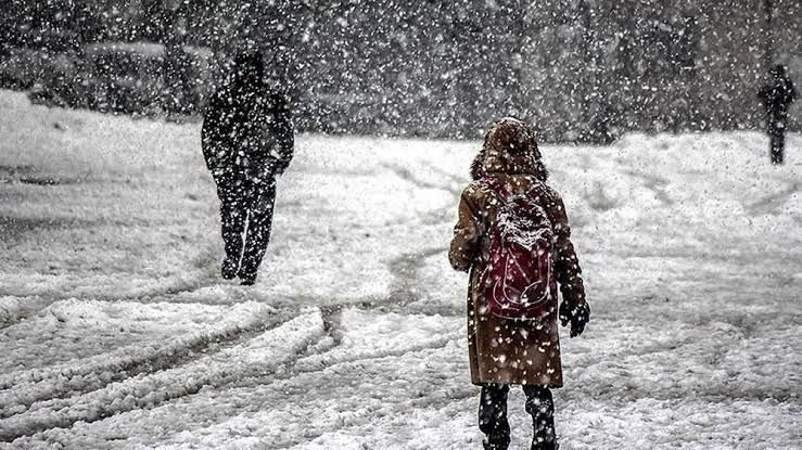 Trabzon'un 6 İlçesinde Kar Tatili!